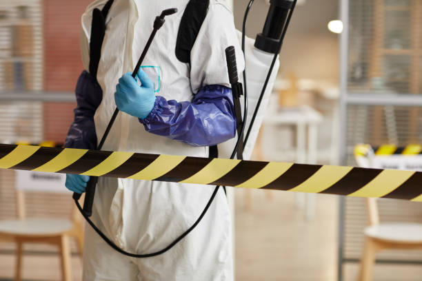 Professional Hoarding Cleanup technician working in Elm Creek, TX